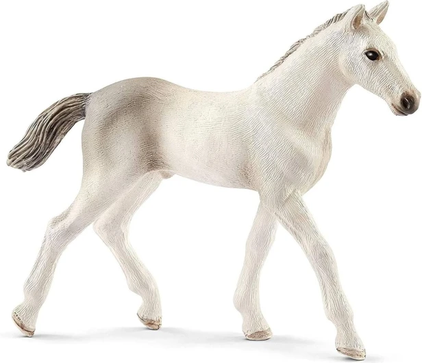 121670