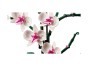 120504