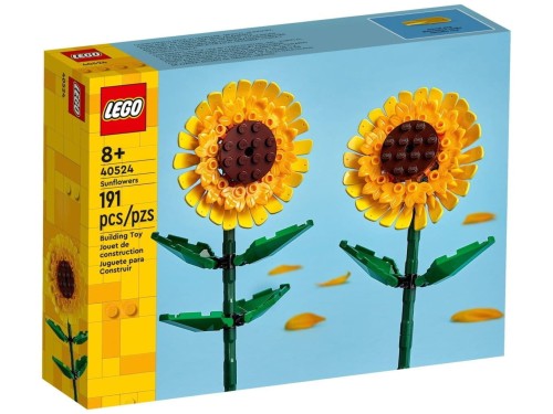 132146