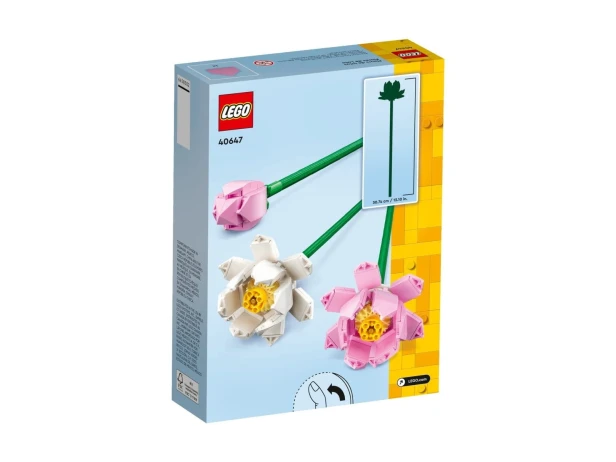 116952